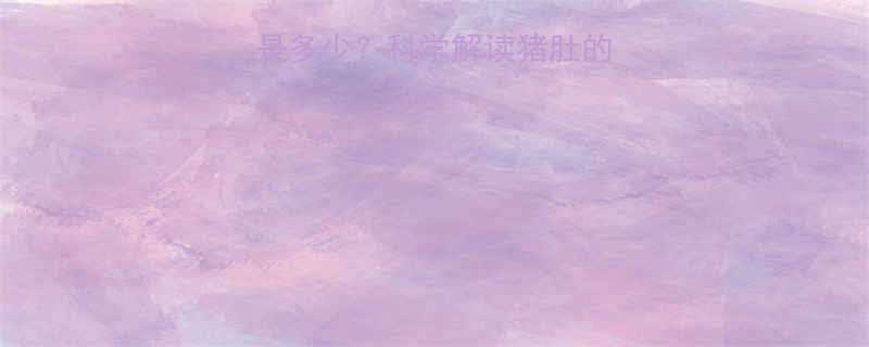 100g猪肚热量是多少科学解读猪肚的热量构成与营养配比-第1张图片-ZBLOG