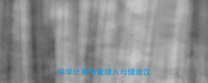 100g香肠热量大营养师教你科学计算热量摄入与健康饮食指南-第1张图片-ZBLOG