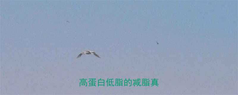 100g鲶鱼热量是多少高蛋白低脂的减脂真相-第1张图片-ZBLOG