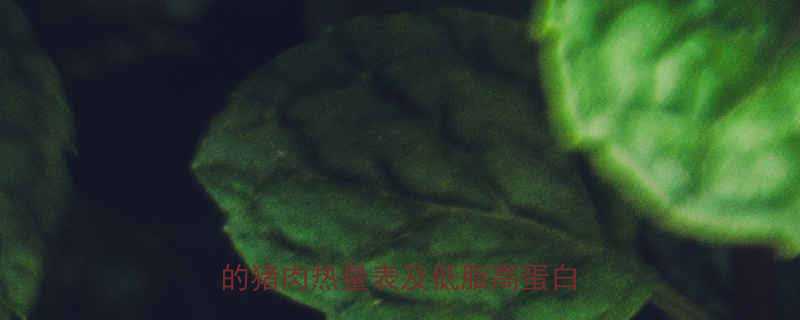 100克猪肉热量减肥健身必看的猪肉热量表及低脂高蛋白饮食指南-第1张图片-ZBLOG