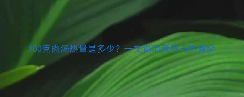 100克肉汤热量是多少一文说清营养与热量全-第2张图片-ZBLOG