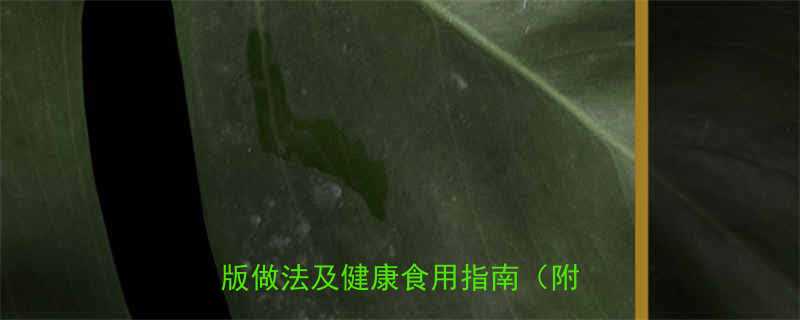 10个小蒸饺的热量是多少？附低卡版做法及健康食用指南（附热量表）-第2张图片-ZBLOG