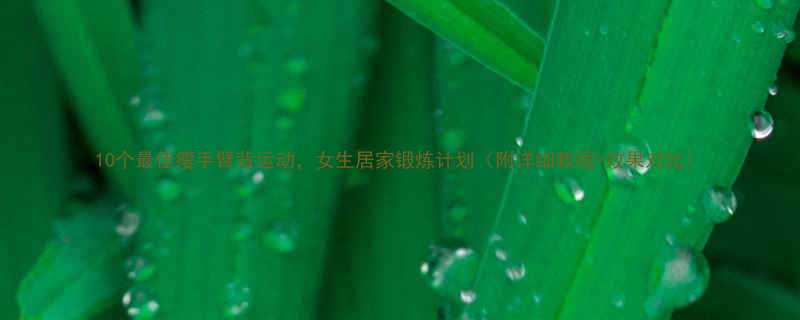 10个最佳瘦手臂背运动女生居家锻炼计划附详细教程效果对比-第1张图片-ZBLOG