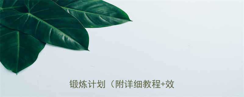 10个最佳瘦手臂背运动女生居家锻炼计划附详细教程效果对比-第3张图片-ZBLOG