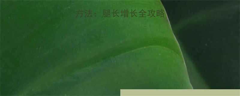 10个科学有效的方法：腿长增长全攻略（附拉伸动作图解）-第2张图片-ZBLOG