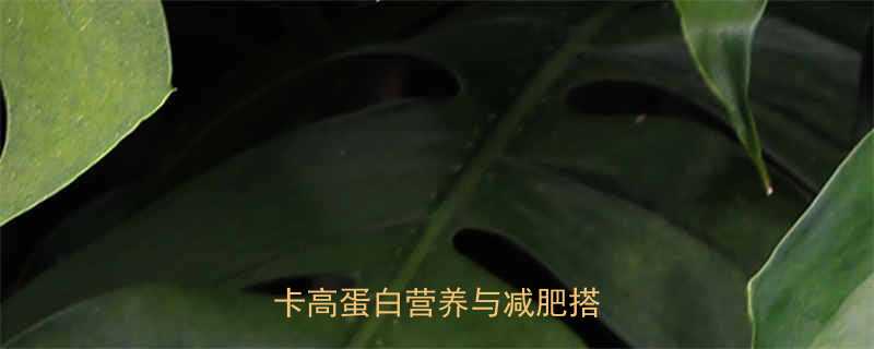 10个芥菜水饺的热量大低卡高蛋白营养与减肥搭配指南-第1张图片-ZBLOG