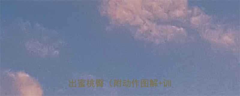 10个高效翘臀运动在家也能练出蜜桃臀附动作图解训练计划-第3张图片-ZBLOG