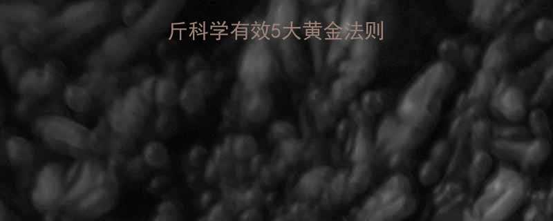 28天减重10斤科学有效5大黄金法则+饮食运动全攻略-第2张图片-ZBLOG 28天减重10斤科学有效5大黄金法则+饮食运动全攻略-第2张图片-ZBLOG