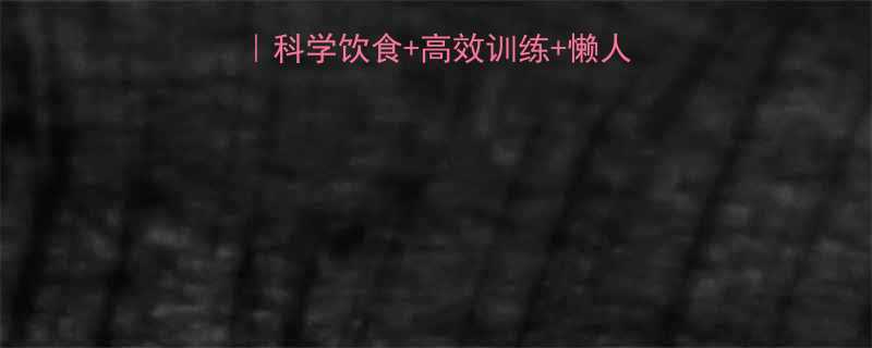 28天认证减脂计划科学饮食高效训练懒人必备方案月瘦10斤-第2张图片-ZBLOG