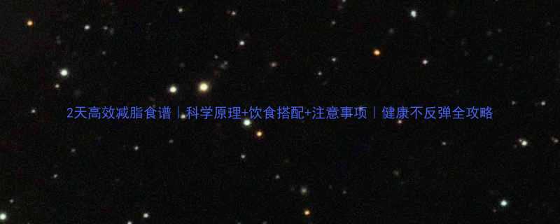 2天高效减脂食谱科学原理饮食搭配注意事项健康不反弹全攻略-第2张图片-ZBLOG
