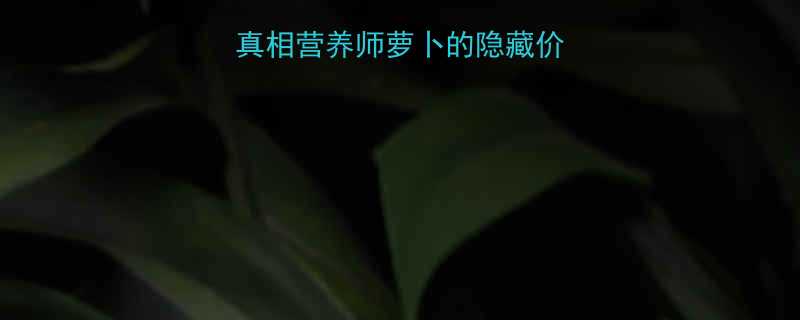 2斤萝卜的热量真相营养师萝卜的隐藏价值5款低卡食谱-第1张图片-ZBLOG