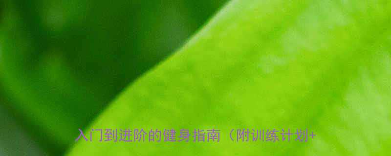 30个高效动作大基数人群如何科学减脂从入门到进阶的健身指南附训练计划饮食方案-第1张图片-ZBLOG