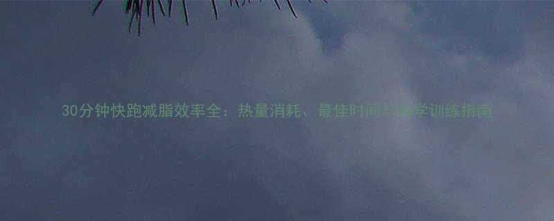 30分钟快跑减脂效率全热量消耗最佳时间与科学训练指南-第2张图片-ZBLOG