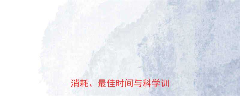 30分钟快跑减脂效率全热量消耗最佳时间与科学训练指南-第1张图片-ZBLOG