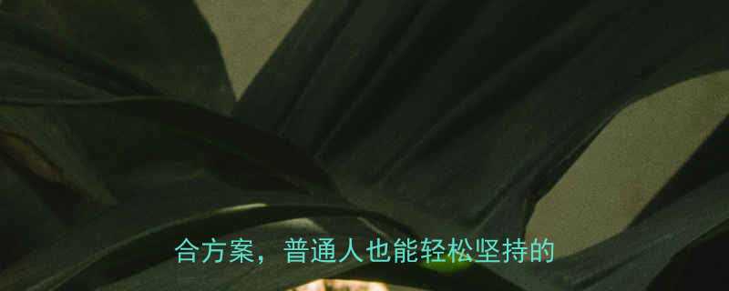 30天健康瘦10斤科学饮食运动组合方案普通人也能轻松坚持的减肥指南-第1张图片-ZBLOG