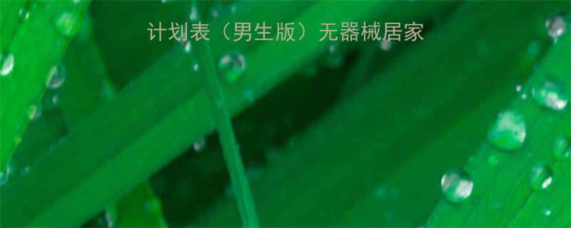 30天健身房高效减脂计划表男生版无器械居家搭配训练方案饮食攻略-第2张图片-ZBLOG