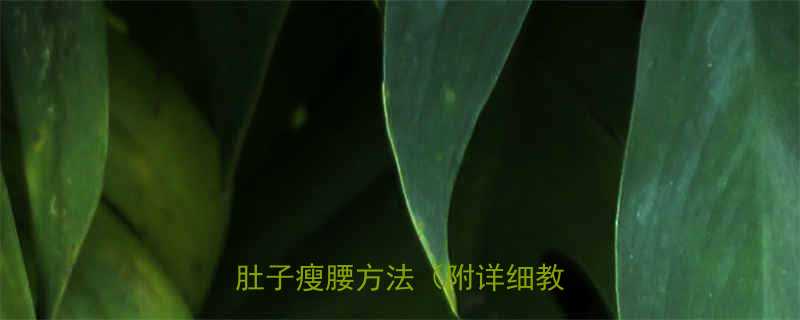 30天平坦腰腹懒人必备的瘦肚子瘦腰方法（附详细教程）💪-第3张图片-ZBLOG