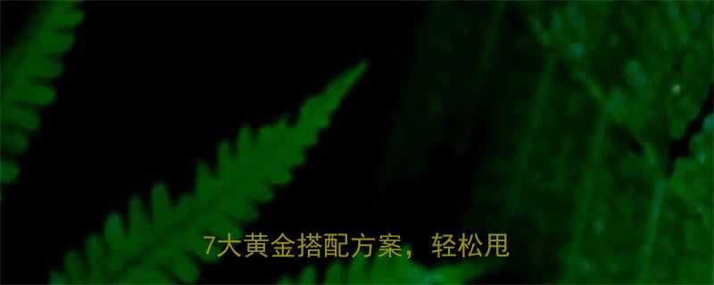 30天科学减脂食谱低卡高蛋白的7大黄金搭配方案轻松甩肉20斤-第1张图片-ZBLOG