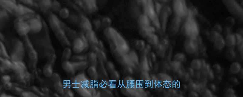 30天蜕变指南高效燃脂运动全攻略男士减脂必看从腰围到体态的逆袭秘籍-第1张图片-ZBLOG