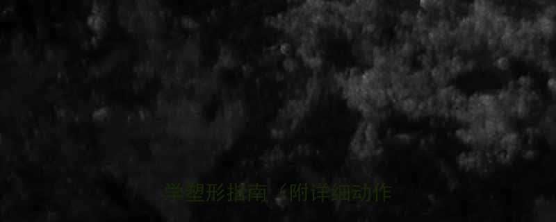 30天高效减脂训练计划：科学塑形指南（附详细动作图解）-第1张图片-ZBLOG