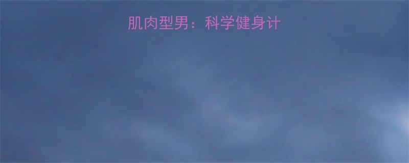 3个月从瘦子到肌肉型男科学健身计划与效果评估指南-第1张图片-ZBLOG