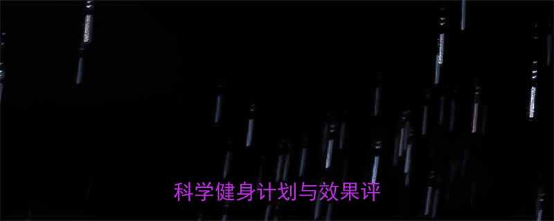 3个月从瘦子到肌肉型男科学健身计划与效果评估指南-第2张图片-ZBLOG