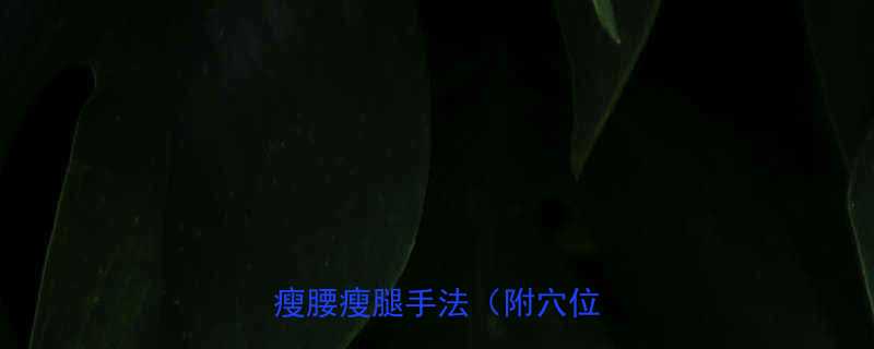 3周瘦8斤专业中医师按摩瘦腰瘦腿手法附穴位图解-第1张图片-ZBLOG