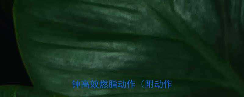 3周瘦胳膊计划每天15分钟高效燃脂动作附动作图解-第2张图片-ZBLOG