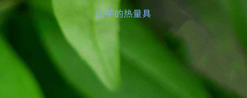 500克山芋的热量具体是多少？-第1张图片-ZBLOG