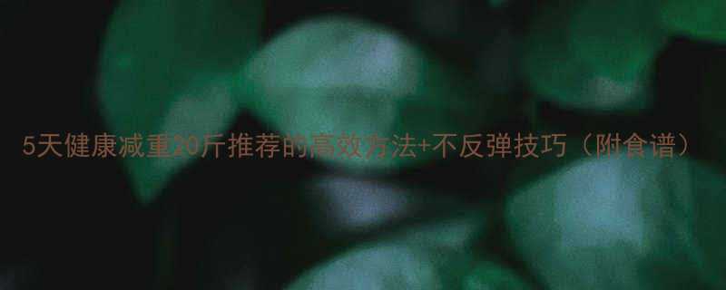 5天健康减重20斤推荐的高效方法不反弹技巧附食谱-第1张图片-ZBLOG