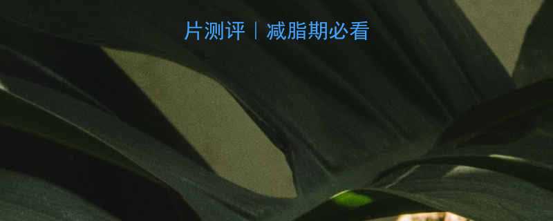 5款低卡水果麦片测评减脂期必看控糖女孩早餐新宠-第2张图片-ZBLOG