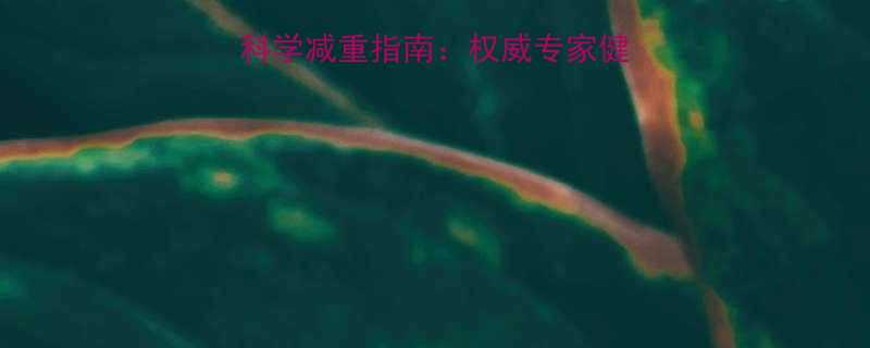 60岁以上老年人科学减重指南：权威专家健康减肥五大核心方法-第2张图片-ZBLOG