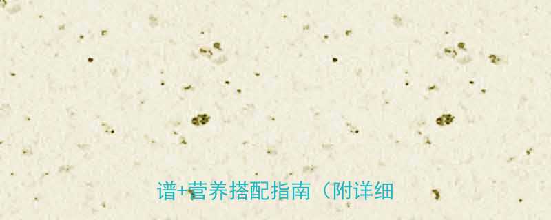 7天健康减脂餐香菇木耳鸡肉食谱营养搭配指南附详细做法-第2张图片-ZBLOG