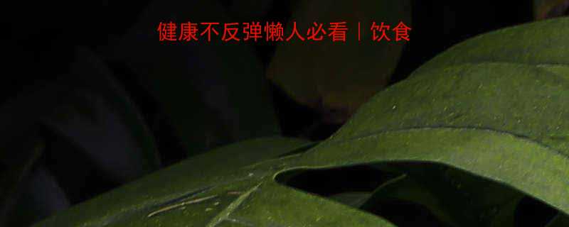 7天瘦10斤攻略健康不反弹懒人必看饮食运动作息全攻略-第1张图片-ZBLOG