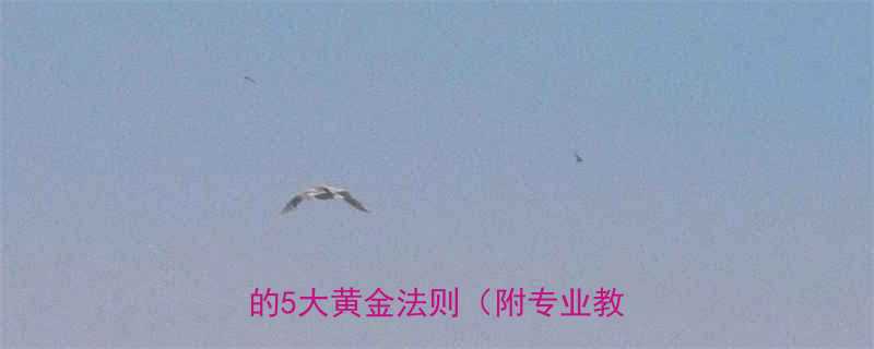 7天见效肌肉型腿秒变纤细漫画腿的5大黄金法则附专业教练方案-第1张图片-ZBLOG