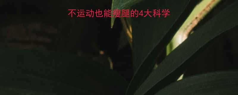 7天见证变化不用药不运动也能瘦腿的4大科学方法附真实案例-第1张图片-ZBLOG