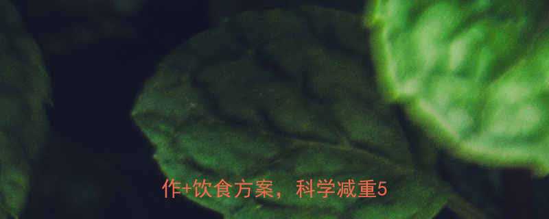 7天高效燃脂指南居家简易动作饮食方案科学减重5-8斤-第1张图片-ZBLOG