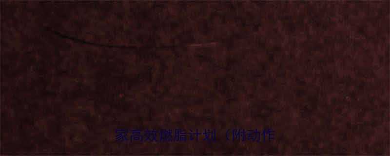 Liss模式减脂效果翻倍居家高效燃脂计划附动作图解-第2张图片-ZBLOG