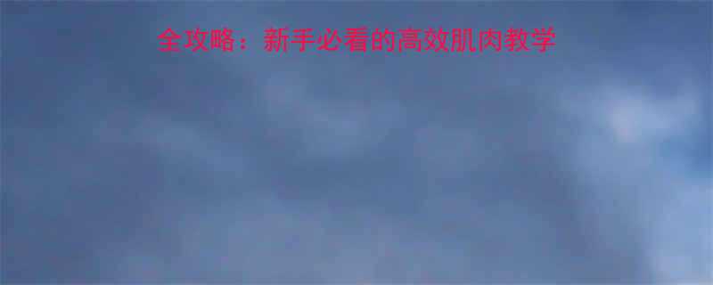 佰领健身增肌减脂全攻略新手必看的高效肌肉教学30天打造理想身材-第1张图片-ZBLOG