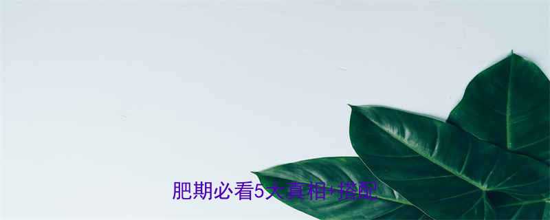 无糖红豆薏米粉热量低吗减肥期必看5大真相搭配攻略-第1张图片-ZBLOG