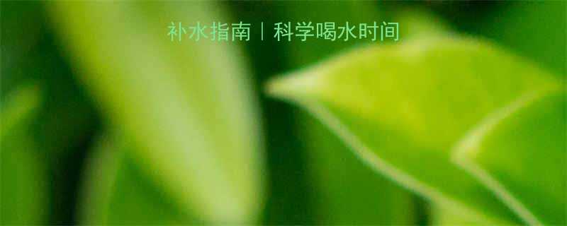 晚上运动黄金补水指南科学喝水时间表避坑干货-第1张图片-ZBLOG