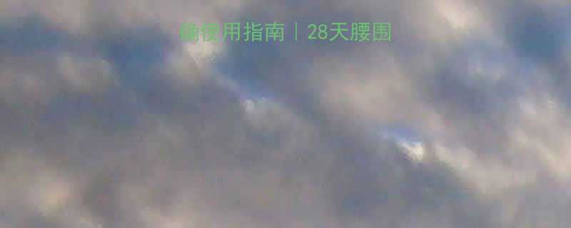 经络减肥仪的正确使用指南28天腰围小2圈的真实分享-第2张图片-ZBLOG