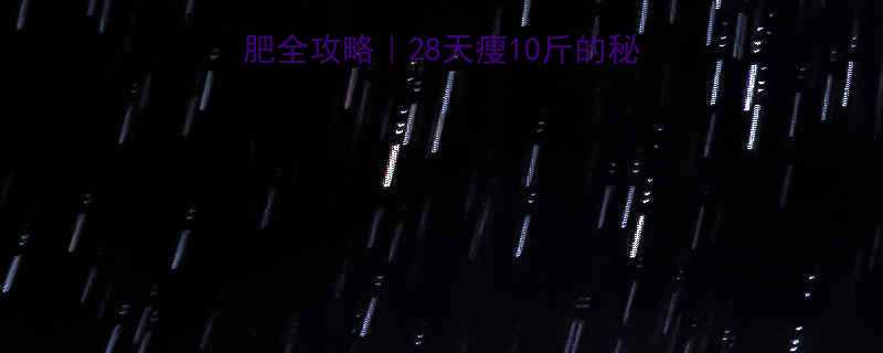 冬天夏天运动减肥全攻略28天瘦10斤的秘诀全年不反弹计划-第1张图片-ZBLOG