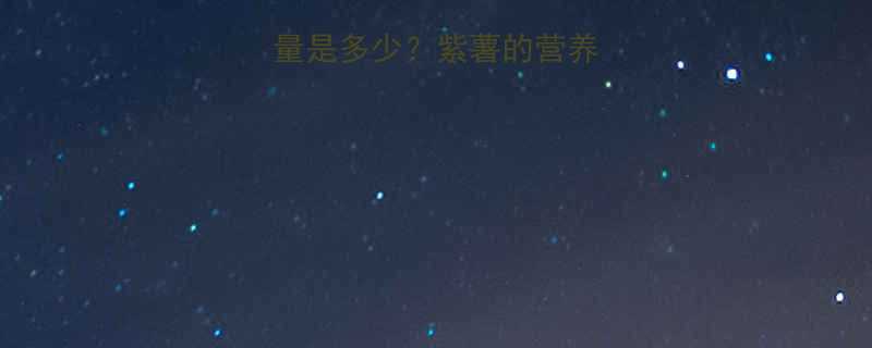 一个紫薯的热量是多少？紫薯的营养价值与热量真相-第1张图片-ZBLOG