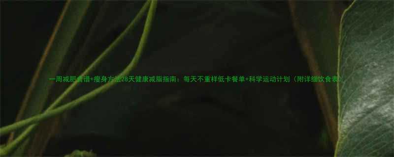 一周减肥食谱瘦身方法28天健康减脂指南每天不重样低卡餐单科学运动计划附详细饮食表-第1张图片-ZBLOG