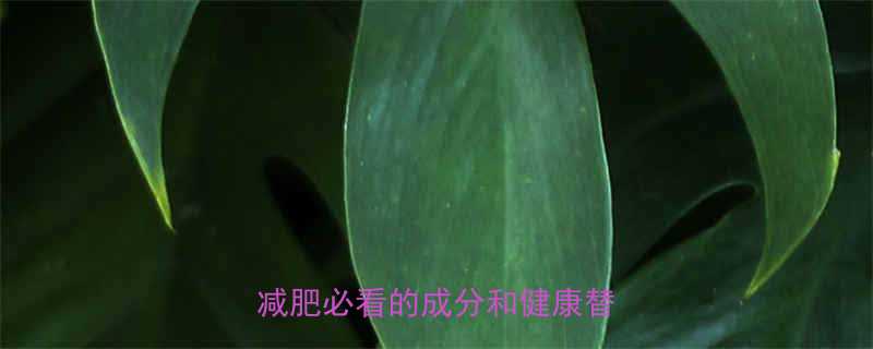 -第1张图片-ZBLOG