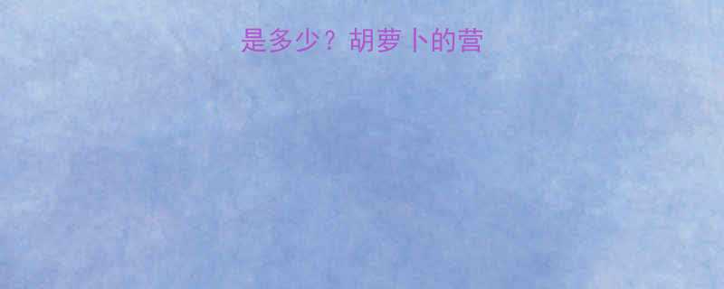一根胡萝卜热量是多少胡萝卜的营养价值与热量真相-第1张图片-ZBLOG