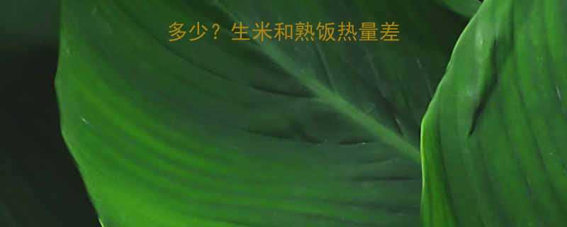 一碗生米的热量有多少生米和熟饭热量差异全附换算公式-第1张图片-ZBLOG