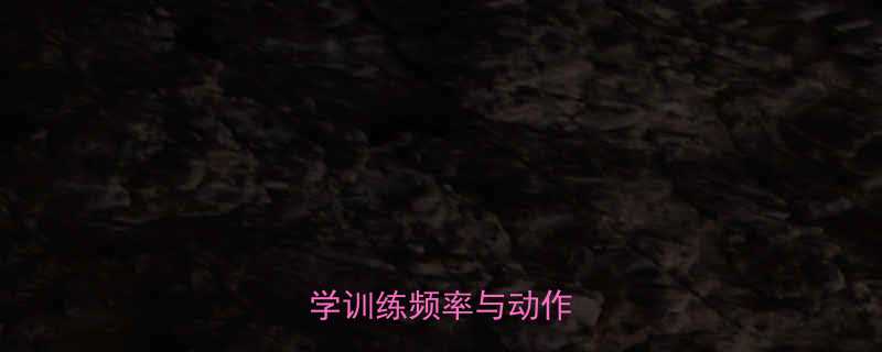 下蹲运动效果翻倍科学训练频率与动作要领全-第1张图片-ZBLOG