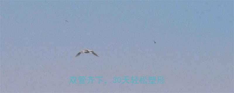 不伤身体减肥法科学饮食运动双管齐下30天轻松塑形不反弹-第3张图片-ZBLOG